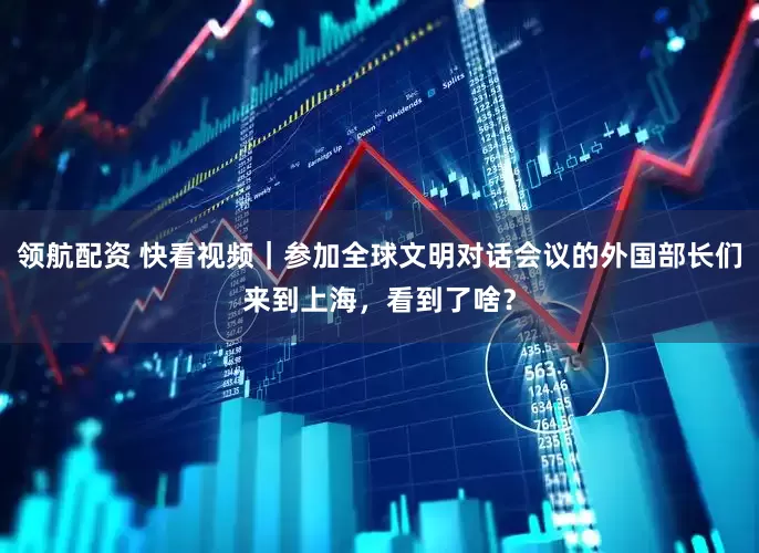 领航配资 快看视频｜参加全球文明对话会议的外国部长们来到上海，看到了啥？